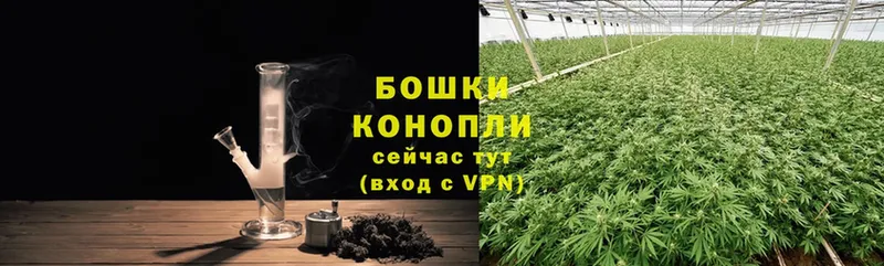 Шишки марихуана White Widow  мега рабочий сайт  Берёзовка 